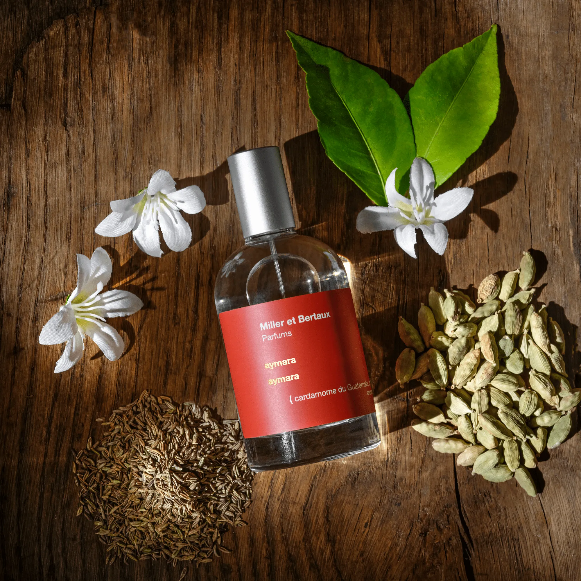 Aymara Miller et Bertaux Eau de Parfum