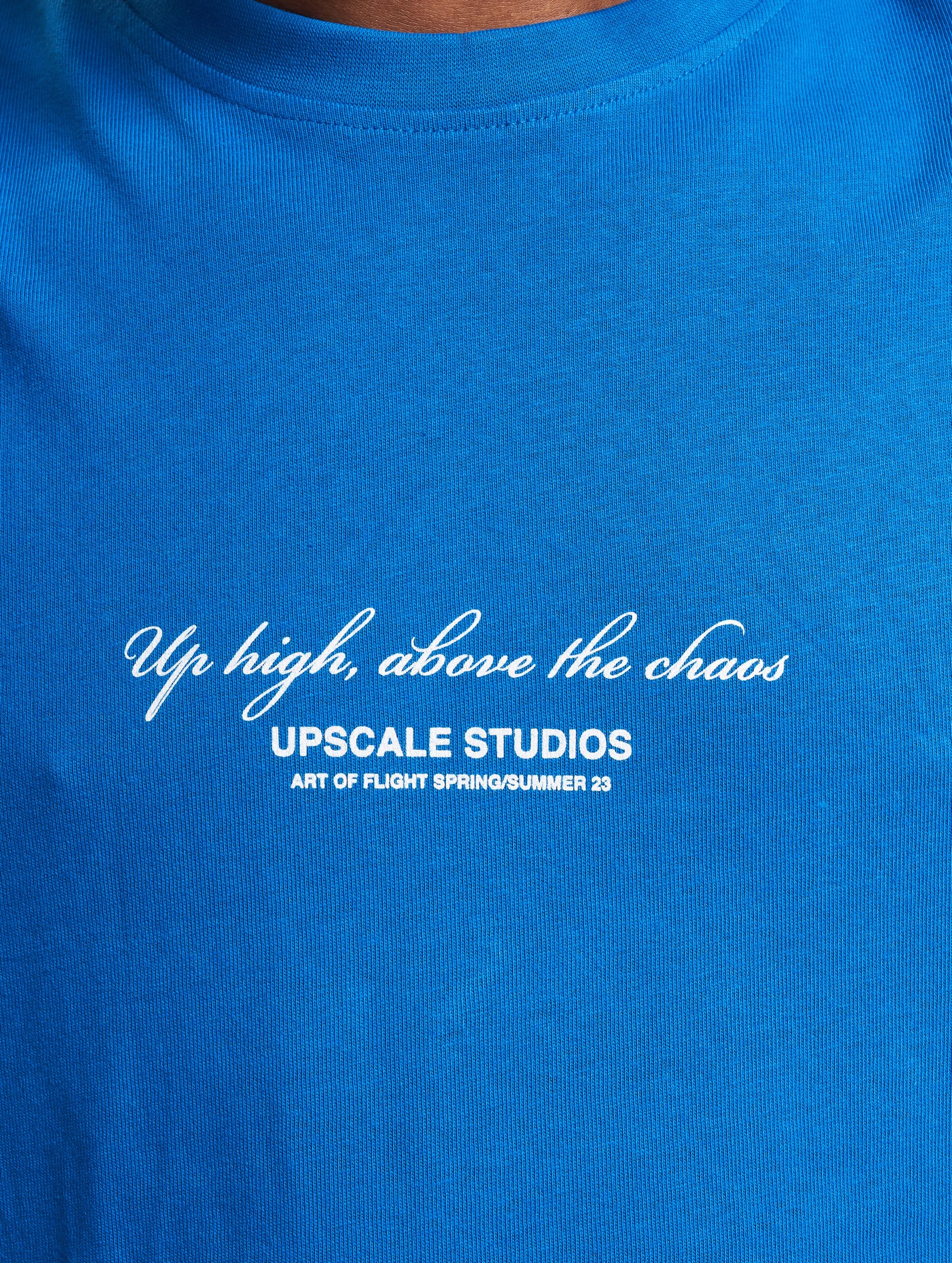 Mister Tee Upscale Paperbird Oversize