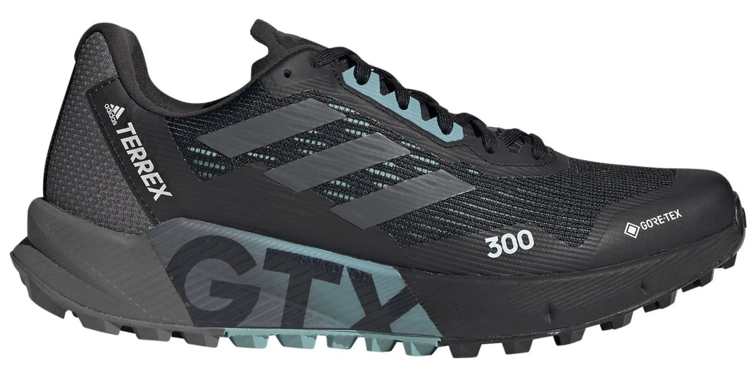 Zapatillas Adidas Terrex Agravic Flow 2 GTX W Negro/Azul